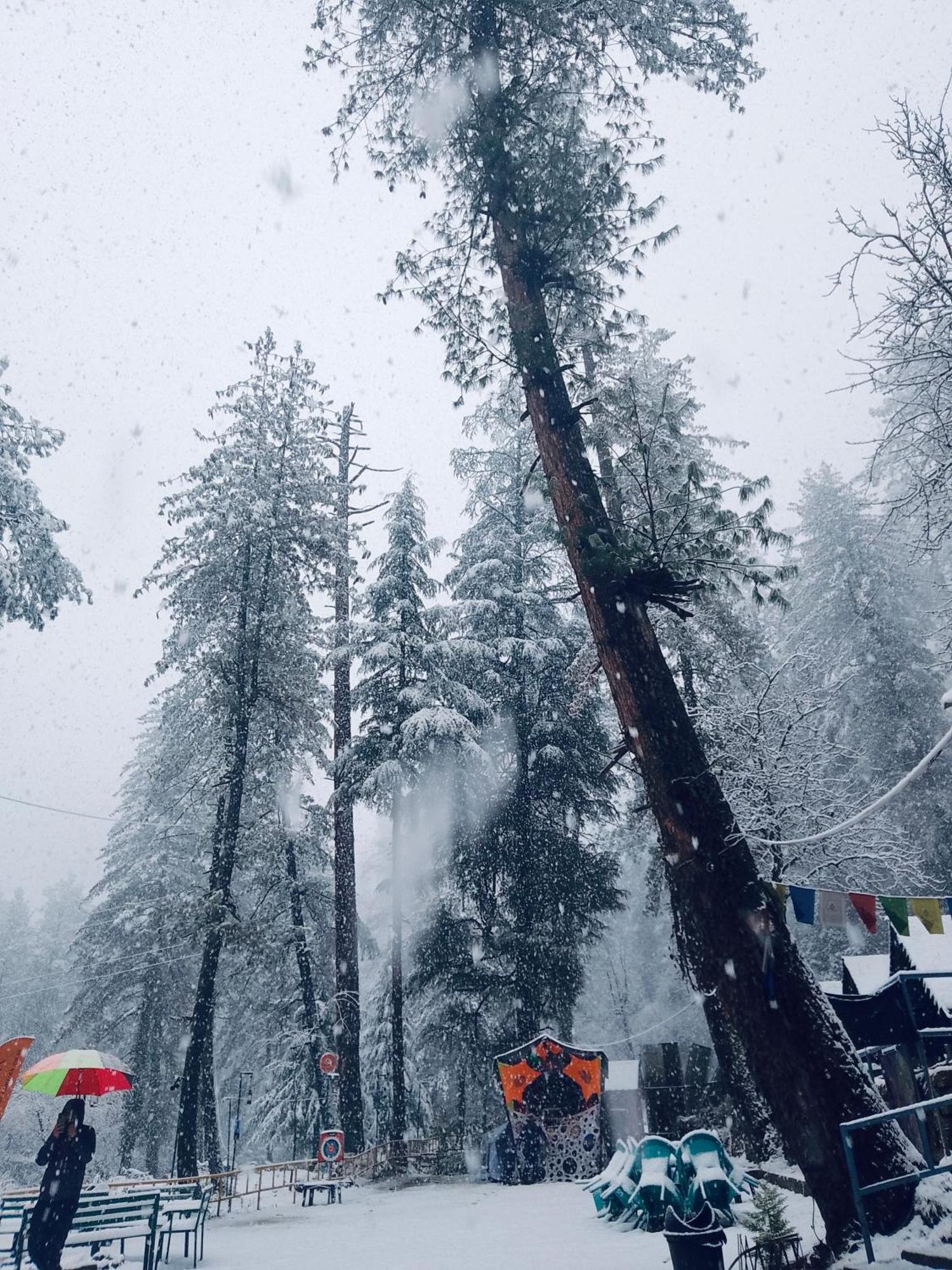Himtrek Riverside Camps, Kasol Εξωτερικό φωτογραφία